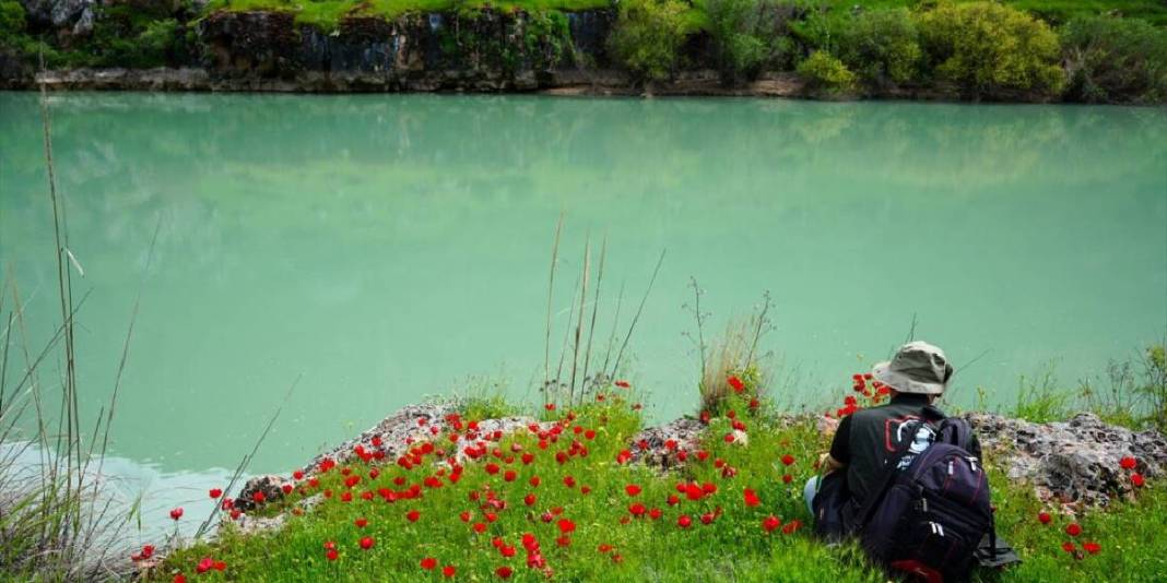 Kaya mezarları ve 5 bin yıllık tarihe ev sahipliği yapıyor! Kızılin Kanyonu bahar renkleriyle boyandı 5